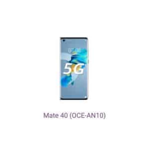 Mate 40 (OCE-AN10)
